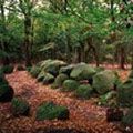 Emsland-route - Op pad tussen natuur en techniek